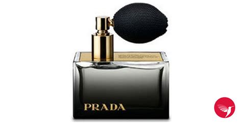 prada le ambree|prada ambree fragrance.